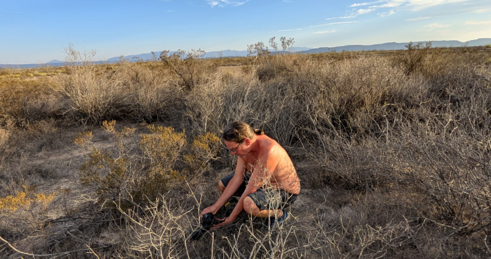 Alexander Neusius kniet in der weiten, trockenen Ebene von Hipolito, Mexiko, und fotografiert aus nächster Nähe eine Gruppe von Lophophora-Kakteen (Peyote), die zwischen Steinen wachsen.
