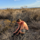 Alexander Neusius kniet in der weiten, trockenen Ebene von Hipolito, Mexiko, und fotografiert aus nächster Nähe eine Gruppe von Lophophora-Kakteen (Peyote), die zwischen Steinen wachsen.